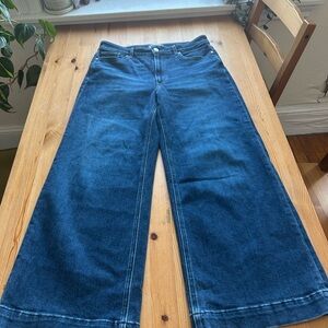 Paige Anessa gently loved jeans size 30